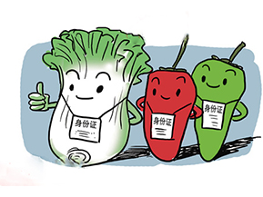 食品追溯系統(tǒng)帶來的優(yōu)勢(shì)有哪些？